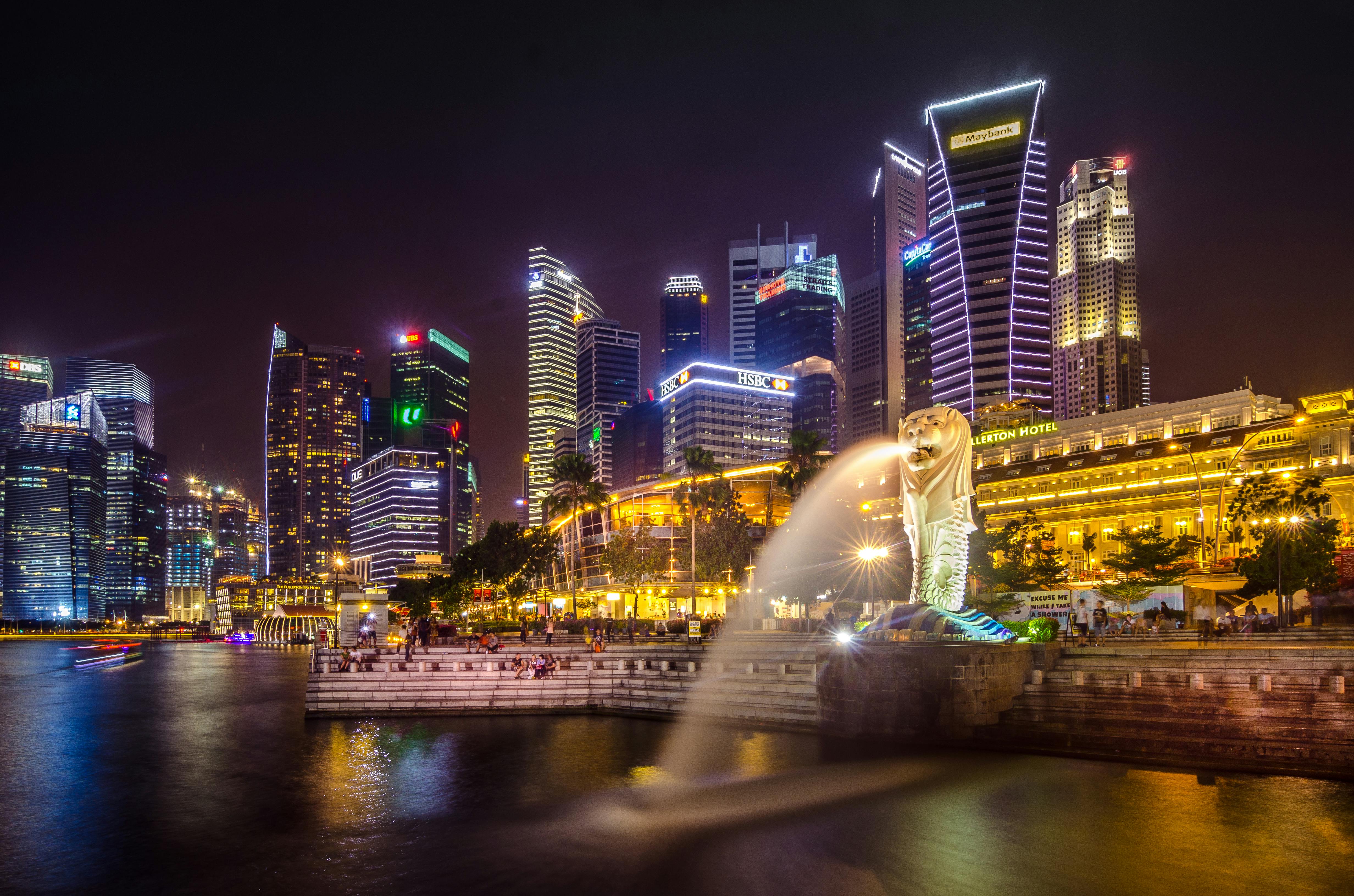 Singapore Export Market